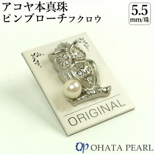 YAR^ 5.5~ su[` (TCY17mm×22mm) igɂtH[}ɂIXX {^ WG[ I[n^p[yMtgzyz