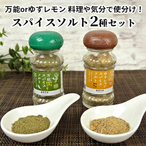 料理やその時の気分で使い分け! 万能スパイスソルト&ゆずレモンスパイスソルト 各40g 添加物不使用 卵かけご飯 白ご飯 揚げ物 炒め物 嬉多家 【送料込】