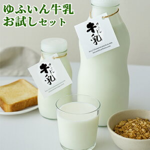 N[~[ŔZȃ`[YElz̋ Zbg(200cc×2{{900cc×2{) ቷE mzWiCYh NbNqt@[yz