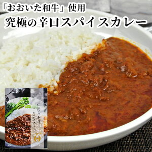 啪Y A4Nȏ̖L㋍gp aXpCXJ[ 180g Y јa ggJ[ h WΉ  J SkaisekiH