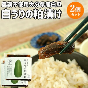ご飯のお供に 白うりの粕漬け 1枚(250g前後)×2個セット 農薬不使用 大分県産白瓜使用 漬物 漬け物 お惣菜 お茶請け 食品添加物・保存料不使用 さわ農園【送料込】