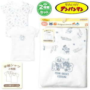 yz2gZbg j xr[ 100  Vc Ap} l[^Ot Ci[   j̎q 90cm 95cm iw-0805b-bly[֑Ήz