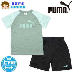 yzj WjA z  TVcX[c ㉺g PUMA/v[} V[gpc W[W |f q j̎q 140cm 150cm 160cm td-0905a-gny[֑Ήz