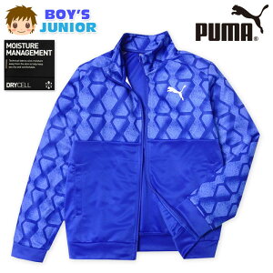 yzj WjA z |WPbg PUMA/v[} tWbv AE^[ X^hlbN q j̎q 140cm 150cm 160cm td-0607a-bly[֑Ήz