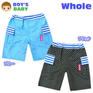 yzxr[  XCEGA Whole z[ j̎q T[tpc  {[_[ TCh|Pbg h[R[h j xr[ 80cm 90cm 95cmy[֑Ήz