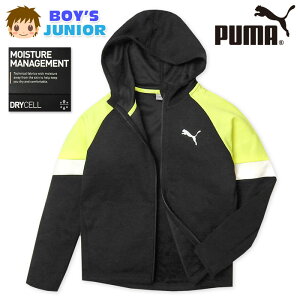 yzj WjA z tWbv p[J[ WPbg PUMA/v[} t[fB[ DRY CELL hC ACTIVE SPORTS _ujbg q j̎q 140cm 150cm 160cm td-0010b-bky[֑Ήz