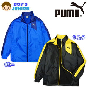 yzq j̎q AE^[ tWbv EBhWPbg  PUMA v[} h wind CELL gRbg ˍޕt X^hlbN j WjA 140cm 150cm 160cmy[֑Ήz