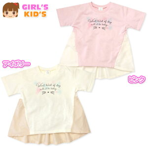 yz LbY Xu~j  TVc obNؑ ˂`[t vg hJ e[Jbg q ̎q 110cm 120cm 130cm jt-0116y[֑Ήz