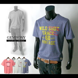 【送料無料】【GEMBONY】カレッジロゴクラックプリント杢カラー半袖Tシャツ【メール便対応】