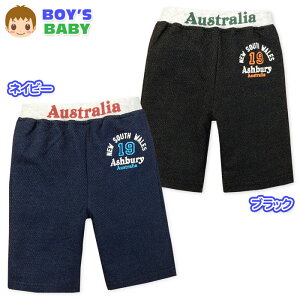 yzj xr[ jbgfj n[t pc Svg EGXgS {gX xr[ j̎q 80cm 90cm 95cm a-2324y[֑Ήz