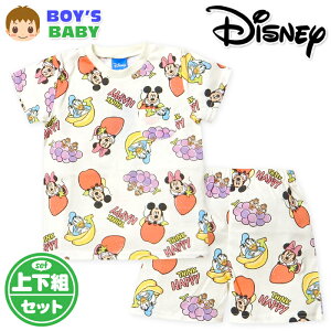 yzj xr[ V  TVc X[c ㉺g Disney/fBYj[ V[gpc  xr[ j̎q 80cm 90cm 95cm iw-1333a-cry[֑Ήz