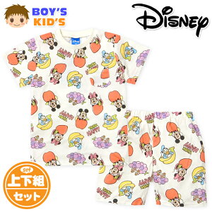 yzj LbY V  TVc X[c ㉺g Disney/fBYj[ V[gpc  q j̎q 110cm 120cm 130cm iw-1334a-cry[֑Ήz