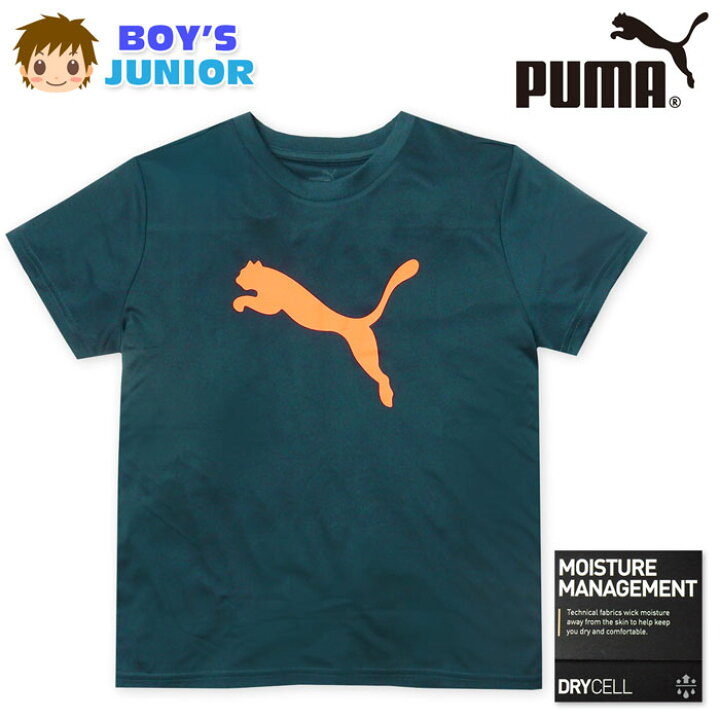 楽天市場】【送料無料】男児 ジュニア 吸水速乾 半袖 ポリTシャツ PUMA 