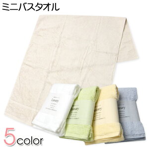 �y���������z���� �~�j�o�X�^�I�� ��100�� �z���� ���i�� ���n �V���v�� 50cm×100cm yg-3039�y���[���֑Ή��z