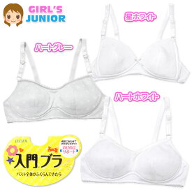 【送料無料】女児 ジュニア 入門ブラ ブラジャー バスト全体がふくらんできたら ホックなし ノンワイヤー カップ裏綿100％ 肌着 下着 子供 女の子 S M L mr-0060【メール便対応】