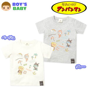 yzj xr[ Ap}  TVc T}[vg by l[^O xr[ j̎q 80cm 90cm 95cm iw-1072y[֑Ήz