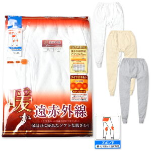 yzam Y Lg Y{ Ci[ f ԊO qUNѓĕzt ۉ OJ   M L LL yg-2787y[֑Ήz