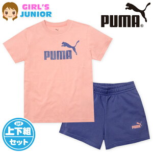yz WjA  TVcX[c ㉺g PUMA/v[} V[gpc W[W S q ̎q 140cm 150cm 160cm td-0899a-pky[֑Ήz