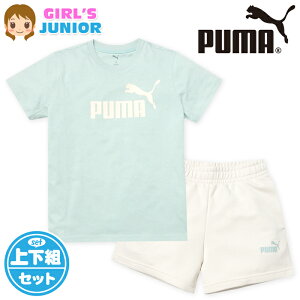yz WjA  TVcX[c ㉺g PUMA/v[} V[gpc W[W S q ̎q 140cm 150cm 160cm td-0899b-mty[֑Ήz
