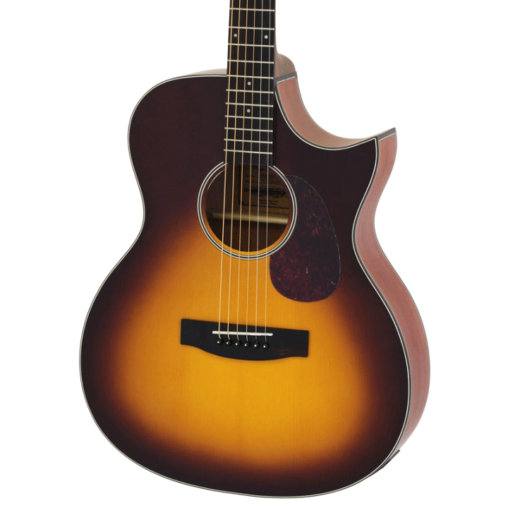 楽天市場】Ariaアリア/エレアコギター【ARIA-101CE MTTS】カッタウェイ