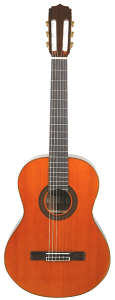Basic A-20