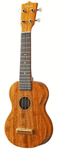 �\�t�g�P�[�X�v���[���g�IFamous�E�N����/�M�A�y�O�d�l FS-5G