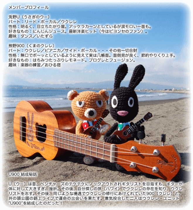 楽天市場】aNueNue/ソプラノ・ウクレレ【aNN-US】Rabbit U Soprano I