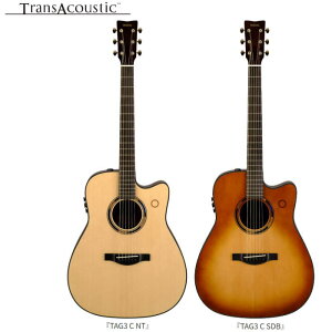YAMAHA}n/gXAR[XeBbNM^[i2jyTAG3 Cz