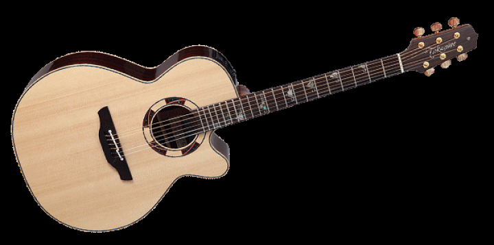楽天市場】プレゼント付き!Takamineタカミネ/エレアコ World Standard 楽天市場】プレゼント付き!Takamineタカミネ/エレアコ World Standard