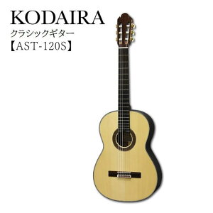 KODAIRA/NVbNM^[yAST-120Sz630mmV[gXP[