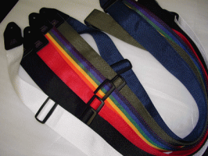 ERNIE BALL�A�[�j�[�{�[��/�X�g���b�v POLYPRO