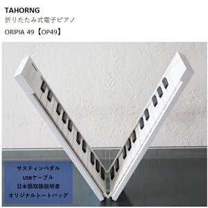 TAHORNG/܂肽ݎdqsAmEIsA49yOP49z^z[@49