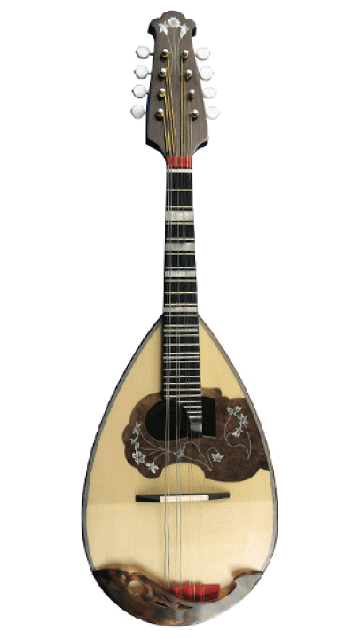 楽天市場】Calaceカラーチェ/Mandolinマンドリン【No.13