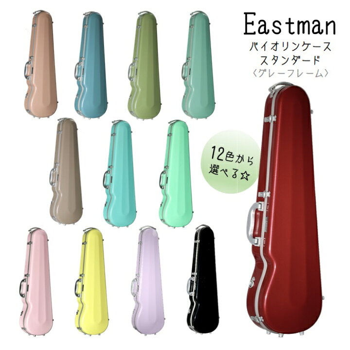 楽天市場】バイオリンケース(4/4サイズ用) □グレーフレーム 