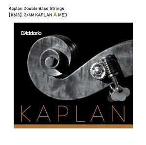 D'Addario�_�_���I/�R���g���o�X���yK613�zKaplan�J�v�����@�o��A��1�{�@�����^�[�p�b�N