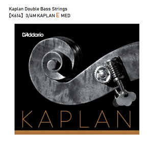 D'Addario�_�_���I/�R���g���o�X���yK614�zKaplan�J�v�����@�o��E��1�{�@�����^�[�p�b�N