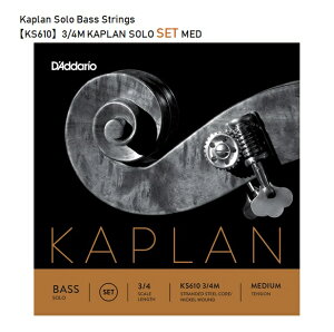 D'Addario�_�_���I/�R���g���o�X���yKS610�zKaplan�J�v�����\���x�[�X���@4�{1�Z�b�g�@�����^�[�p�b�N