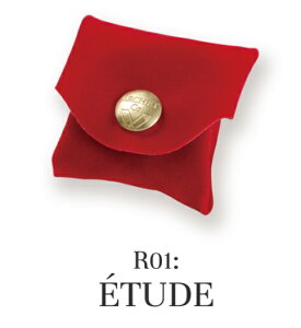 ArchetAVF/ViolinEViolapyR01:ETUDEz