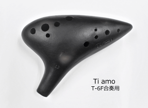 Ti amoeBA[/IJiyT-6Fztpwxei[Fǁ@TF
