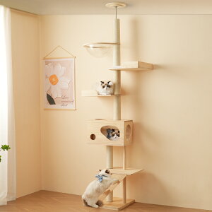 Lbg^[ L^[ Lbgc[ X ˂ 260cm ؓo^[ lR^[ FDt 艺肵₷ ܂Ƃ|[ ؐ  qL ^L }bgt ybgpi 