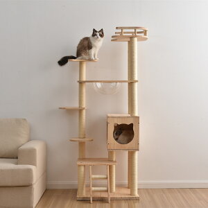 ؐLbg^[ Teak VR t[ XeXpl KiXebv nEXt B FDfUC R܂Ƃ{[ Lxbht ϋv  Lp Ή