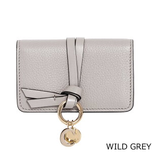 NG CHLOE hiJ[hP[Xj ALPHABET BUSINESS CARD HOLDER [At@xbg] fB[X CHC21WP015 (CHC19AP015) F57