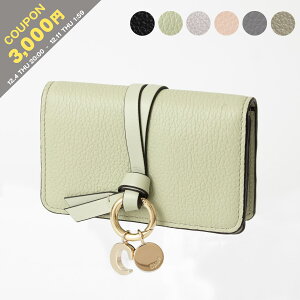 y3,000~N[|ΏہzNG CHLOE hiJ[hP[Xj ALPHABET BUSINESS CARD HOLDER [At@xbg] fB[X CHC21WP015 (CHC19AP015) F57