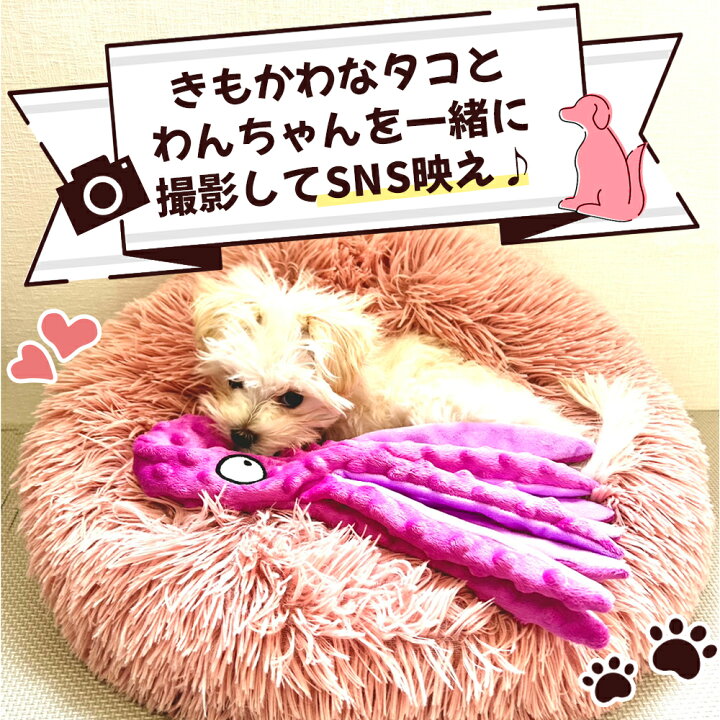 Amazon | 犬 おもちゃ タバコの形 噛む 歯磨き 玩具 犬のおもちゃ ストレス解消 嚙むおもちゃ 声が出る 犬用タバコおもちゃ 小型犬  中型犬用 | Zakata | 噛むおもちゃ 通販 TACO DOG タコス型 犬 噛むおもちゃ 子犬用アクセサリー アクティブチューアー フルグレインレザー 手作り 古タバコ