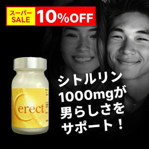 y12/11X[p[SALE 10OFFz ͍ 120 Vg AMj j j Tv jpTv Tv   N C X^~i p[ T|[g  Cerect (ZNg) 