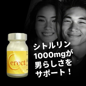 yVgzz ͍ 120 Vg AMj j j Tv jpTv Tvg  N C X^~i p[ T|[g  Cerect (ZNg) 