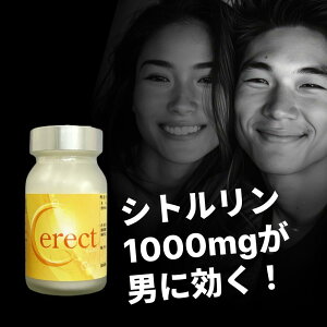 yVgzz ͍ 120 Vg AMj j j Tv jpTv Tvg  N C X^~i p[ T|[g  Cerect (ZNg) 