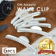 ＼ 楽天ランキング1位／ 【送料無料】ON-beauty ウェーブクリップ 6本入り アルミ合金 ワイドサイズ ヘア…