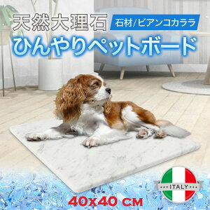 嗝 ybg Ђ{[h ybgp  L ā@@Mtg ⊴ }bg ߓd ybgpi@ăoe  N[}bg 40×40 cm
