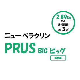 中国塗料 ニューペラクリンPLUSセット BIG ビック（業務用）プロペラ 防汚塗料 フジツボ対策 シャフト 大型船 防汚塗料 セット